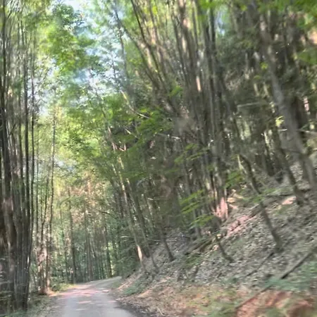 S'laehmes Auf Der Schwend *