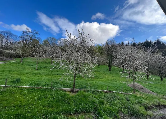 S'laehmes Auf Der Schwend Casa vacanze Kappelrodeck