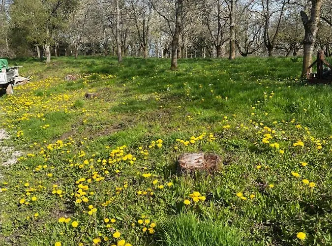 S'laehmes Auf Der Schwend Casa vacanze *