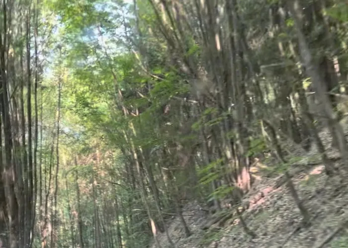 S'laehmes Auf Der Schwend *