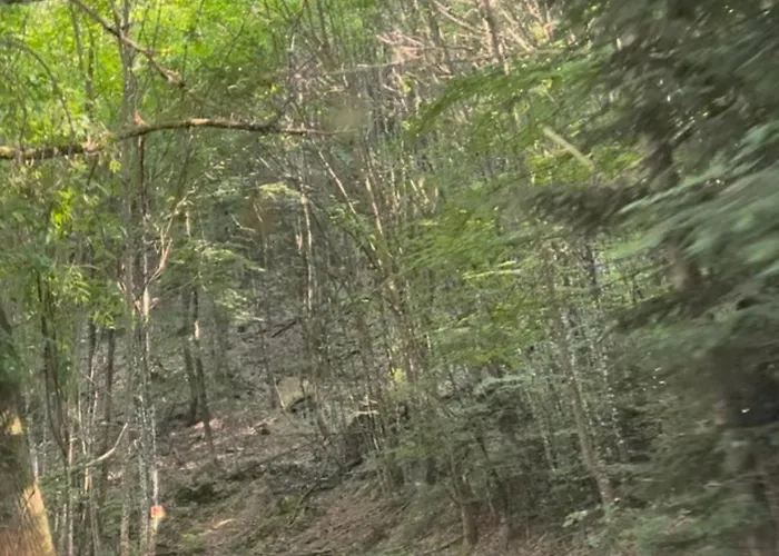 S'laehmes Auf Der Schwend Casa vacanze