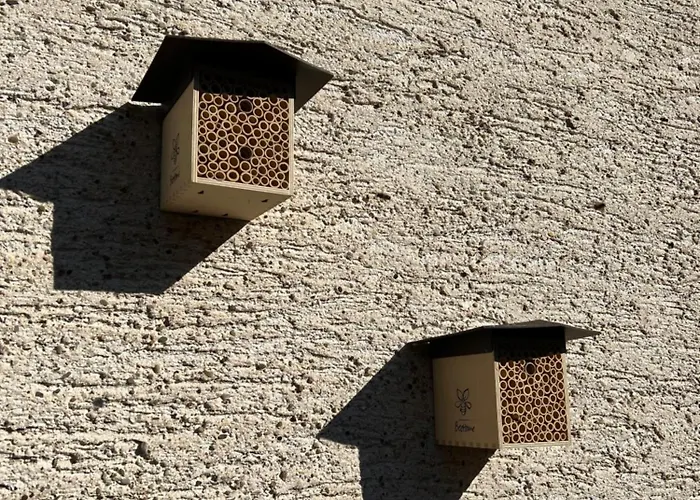 Casa vacanze S'laehmes Auf Der Schwend