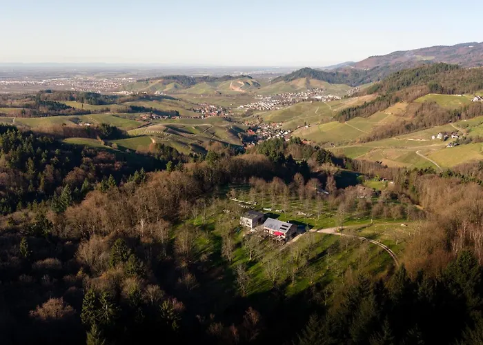 S'laehmes Auf Der Schwend